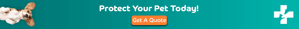 Lifetime Pet Cover quote banner