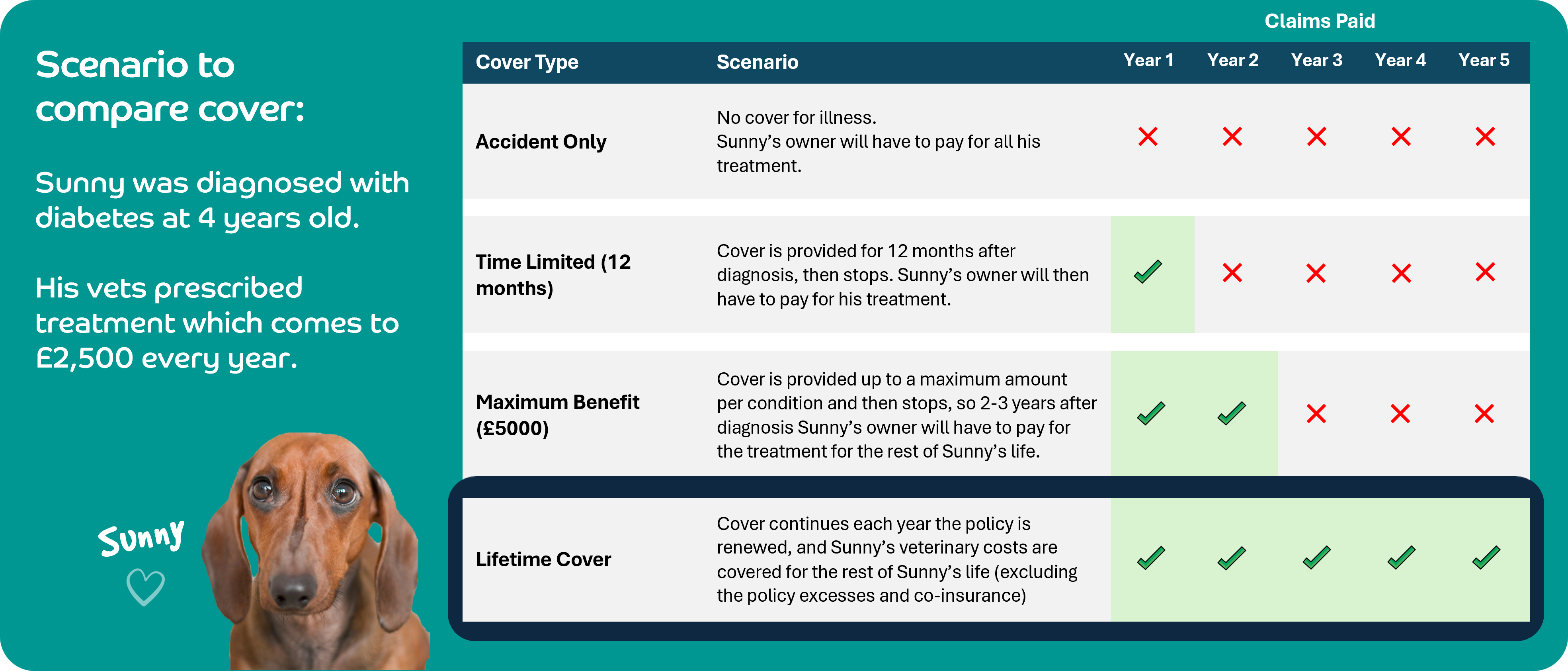 Pet insurance lifetime cover discount