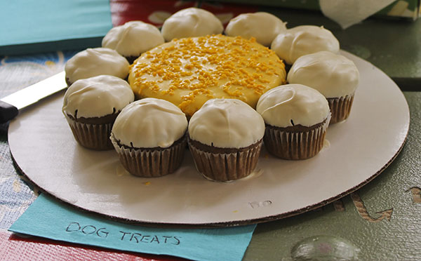 Home made dog friendly cupcakes